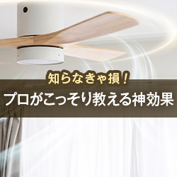 知らなきゃ損!プロがこっそり教える神効果