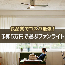 良品質でコスパ最強!予算5万円で選ぶファンライト