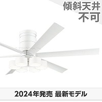 電動昇降機用 予備リモコン OA076220P1 電動昇降機用 【予備】リモコン OA076220P1 オーデリック製電動昇降機オプション  【OXO005】