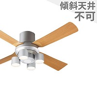 大風量 傾斜対応 軽量 【1台用壁スイッチ付き】 パナソニック製