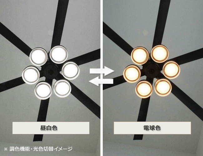 大風量 傾斜対応 LED 調光・光色切替(電球色-昼白色) 5灯 高演色LED